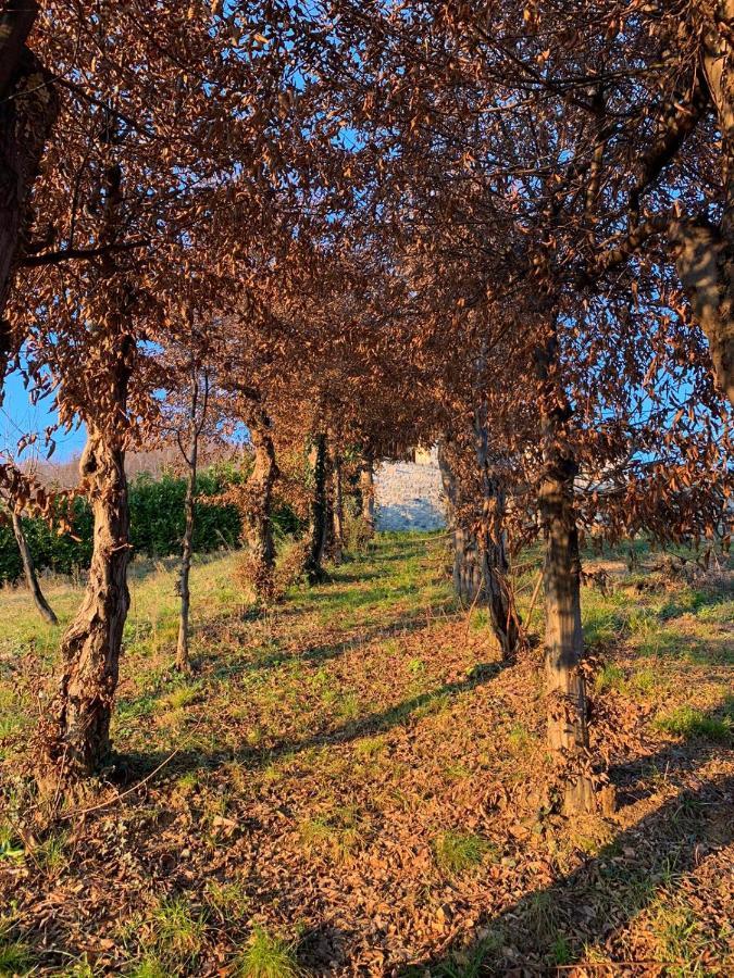 مبيت وإفطار Villa dʼAlmè Le Lanterne المظهر الخارجي الصورة